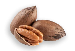 pecans